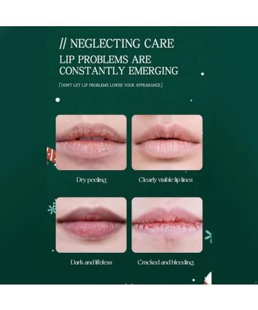 Hansber Six Piece Fruit Flavored Lip Balm Gift Set for Hydrating Dry Lips Multicolor One Size One Size Multicolor - Buy Online on GoSupps.com