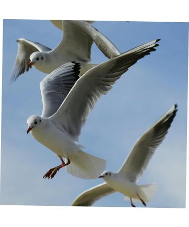 Beavorty 300 Pcs Pigeon Anklet Where Labels Bird Opening Feet Opening Pigeon Ring Plastic Clip Baby Poultry 1.3X1.3CMx3pcs Redx3pcs - Buy Online on GoSupps.com