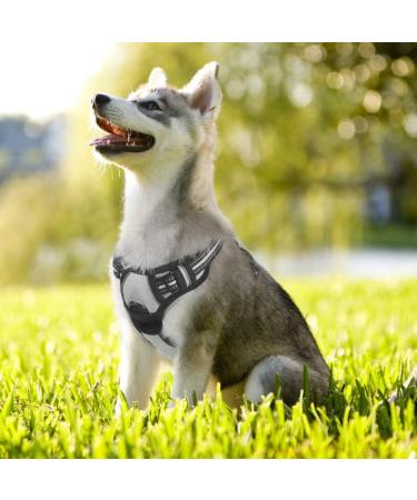 Rabbitgoo Adjustable No-Pull Dog Harness for Medium Dogs - Breathable Control Vest with Reflective Stripes - Safe Gray Harness for Large Dogs - 1 Pack - Buy Online on GoSupps.com