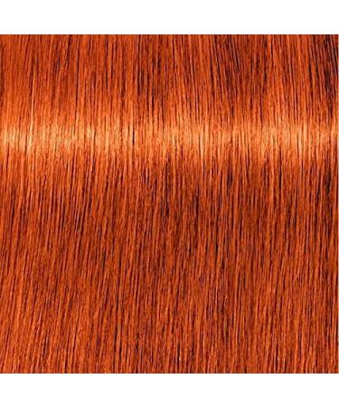 Schwarzkopf Igora Chroma ID Color Mask 7-77 Copper 250ml - Unscented (Pack of 1) - Buy Online on GoSupps.com