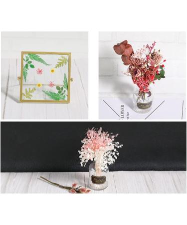 Lyra's Natural Pressed Flowers - Colorful Real Dried Flowers for Crafts & DIY - Pink - Buy Online on GoSupps.com