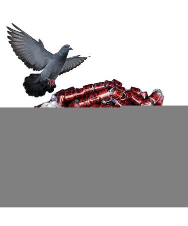 50 Multicolored Aluminum Pigeon & Chicken Leg Rings - Bird Identification Foot Rings & Accessories - Buy Online on GoSupps.com