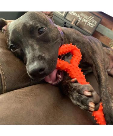 Atopo Robust Dog Toy - 13-Inch Bones Shaped Hard Rubber for Large & Small Dogs - Interactive Teeth Cleaning & Gum Massaging Toy - Orange - Buy Online on GoSupps.com