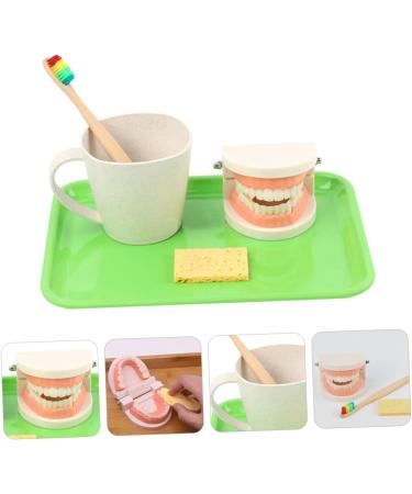 FRCOLOR 3 Sets Wooden Dental Education Toys - Early Teaching Aids for Kids | Reusable & Eco-Friendly - Buy Online on GoSupps.com