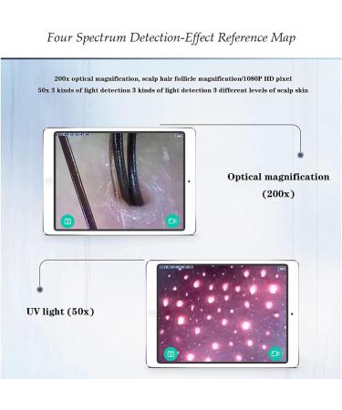 Hair Follicle Detector 50x/200x Hair Wifi (5g) Hair Follicle Skin Detector 1000w pixels 50x/200x can switch freely for beauty salons skin care centers - Buy Online on GoSupps.com