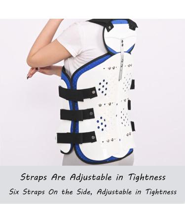 Buy SFKLYU Thoracolumbar Fixed Spinal Brace | Adjustable Lumbar Spine Support for Compression Fracture Rehabilitation - International Shipping - Buy Online on GoSupps.com