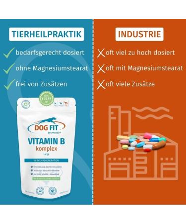 Dog Fit by Prethis - Vegan B Vitamin Complex for Dogs | Nerve Strengthening Incontinence & Nervousness Support | Large Animals (25kg+) - Buy Online on GoSupps.com