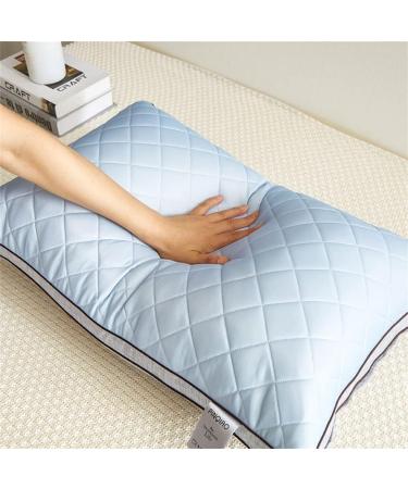 YANGRRJ Ice Silk Pillow Core 750g - Hotel Home Sleep Aid - Washable & Dual-use - Extra Large Size E - Perfect for Adults and Students - Buy Online on GoSupps.com