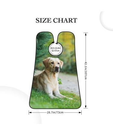 Labrador Retriever Beard Bib for Men | Hair Catcher Apron Gift for Father's Day Valentine's Christmas - One Size - Buy Online on GoSupps.com