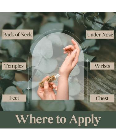 Eucalyptus Mint Essential Oil Roller - Breathe Blend for Home Spa | Essential Oil Roll-On for Self Care - Buy Online on GoSupps.com