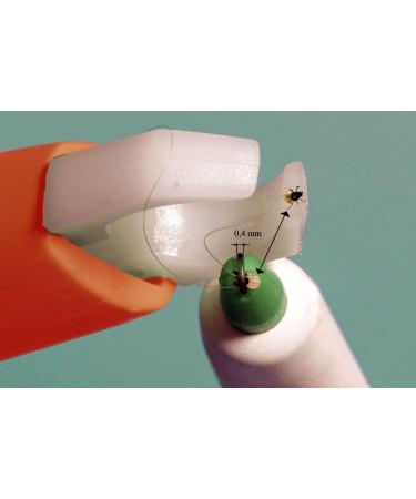 3IX Tick Loop - Dual Pack | Reliable Tick Removal Tool | Teck Spinner Tweezers & Pliers - Buy Online on GoSupps.com