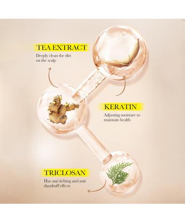 Vawolecy Ginger Hair Shampoo Bar Organic Ginger Shampoo Bar Deep Cleansing for Hair & Scalp Hair Loss Promotes Hair Growth 0 Silicone Oil - Buy Online on GoSupps.com