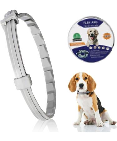 Adjustable tick and flea protection collar dog flea and tick collar for dogs natural tick protection length: 63cm for small medium and large pets - Buy Online on GoSupps.com