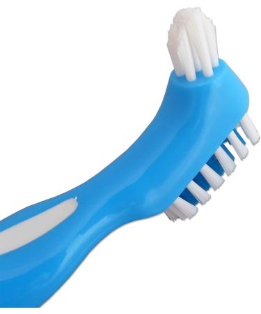 Denture Bath & Brush Storage Container for Soaking Dentures Brush with Double Bristle Head (Green Bath Blue Brush) - Buy Online on GoSupps.com