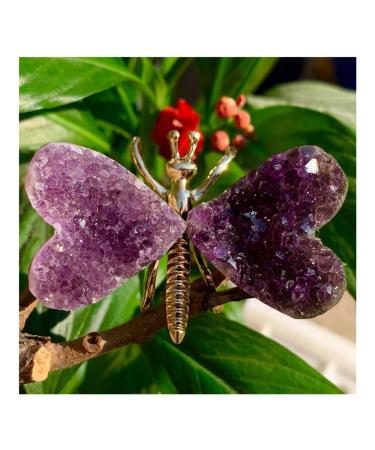 ROUPWKWO Amethyst Stone 30G Natural Amethyst Crystal Cluster Butterfly Fairy Specimen Decoratio