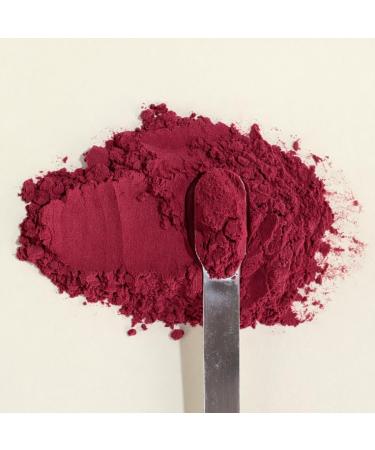 Xalya Cranberry Powder Unsweetened Cranberry Powder Pure Extract -10 to 1 Cranberries Ratio Standardized to 6.12 Percent PACs 7 Ounce Bag - Buy Online on GoSupps.com