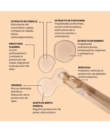 MI REBOTICA | Anti-dandruff lotion 100 ml - Buy Online on GoSupps.com