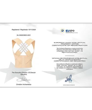 JXZXC Adjustable Straightener Upper Spine Support Back Brace Posture Corrector 1 S - Buy Online on GoSupps.com
