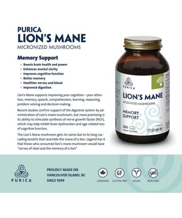 PURICA Lion's Mane Mushroom Capsules 360 Count - Enhanced Cognitive Support Organic Brain Health Supplement for Memory & Focus 360 count (Pack of 1) - Buy Online on GoSupps.com