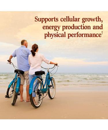 Garden of Life Vegetarian Omega 3 6 9 Supplement - Raw CoQ10 Chia Seed Oil Whole Food Nutrition & Zinc Supplements 30mg High Potency Raw Zinc and Vitamin C Multimineral Supplement - Buy Online on GoSupps.com