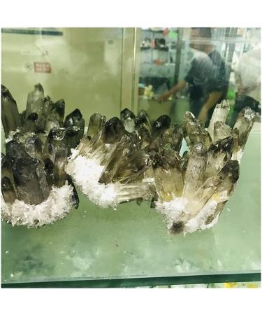 Beauiful Smoky Yellow Crystal Cluster Natural Crystal Cluster Quartz Point Crystal Specimen Minerals Reiki Beautiful HOMEZHOU (Size : 350-400g) - Buy Online on GoSupps.com