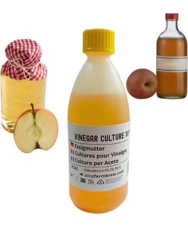 M re de vinaigre 100 ml Bact ries ac tiques pour fermentation Culture de fermentation maison Acetobacter - Buy Online on GoSupps.com
