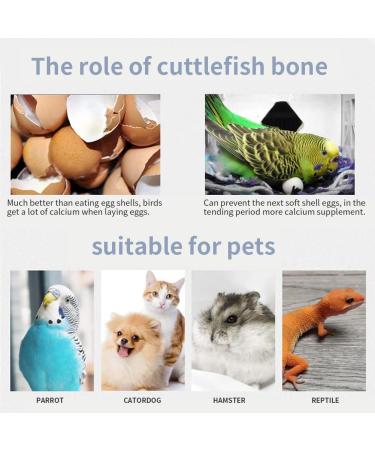 5pcs Small Cuttlefish Bone for Parrots | Natural Calcium Chew Toy for Birds - Buy Online on GoSupps.com