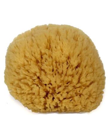 Spa Destinations Natural Sea Sponge 6-7: Elevate Your At-Home Spa Experience - Buy Online on GoSupps.com