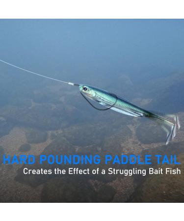Dr.Fish Paddle Tail Swimbaits Soft Plastic Fishing Lures 2-3/4 to 4-3/4 Inches - Bass Fishing Swim Shad Bait Minnow Lures - Drop Shot Fluke Baits - Watermelon, 6 Pack - Buy Online on GoSupps.com