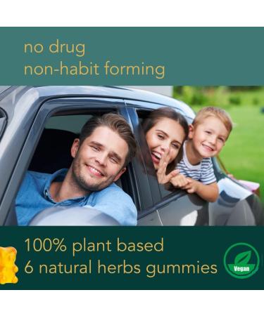 Holistic MD Vertigo Gummies - 6-in-1 Relief for Nausea, Dizziness & Vertigo - Plant-Based Formula with Gingko, Kudzu, Astragalus & More - 60ct - Lemon Flavor - Buy Online on GoSupps.com