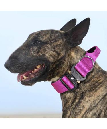 Tspro Premium Dog Collar with Handle - Adjustable Heavy Design Collar with Quick Lock Metal Buckle for Small to Extra Large Dogs - Purple (Size L 47-66cm) - Buy Online on GoSupps.com