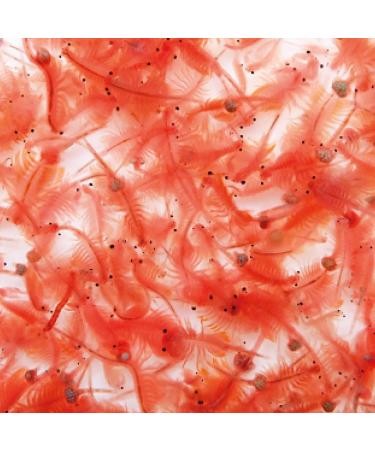algova Artemia Eggs - A+ Grade - Up to 95% Hatch Rate - Live Food for Breeding Discus Cichlids Guppy Ornamental Fish Molly Axolotl Shrimp (Artemia Kit) - Buy Online on GoSupps.com
