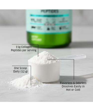 ORZAX Collagen Peptides Powder - 11 g Collagen Type I & III Biotin & Hyaluronic Acid 16 oz (Unflavored) 1 Pound (Pack of 1) - Buy Online on GoSupps.com