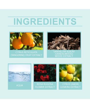 VEFSU 100ml Fresh Body Spray Floral Fruity Fragrance Refreshing Body Neck Wrist Stay Fragrance Portable Fragrance Elegant Mist Perfume Gift Set (B One Size) 1 Fl Oz (Pack of 1) B - Buy Online on GoSupps.com