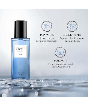 C_iccio Premium Long Lasting Luxury Fragrance Premium Eau De Perfume Spray For Men Blue n Intense_20Ml X 2 Pc Combo Gift Pack - Buy Online on GoSupps.com