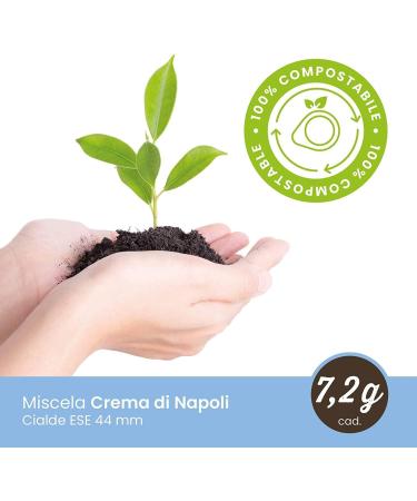 Italian Gourmet Caf Toraldo Crema di Napoli 450 Dosettes ESE (3 x 150) Caf Italien Espresso Napolitain Dosettes Papier ESE 44 mm Cr me Dense Go t Intense Caf Expresso + Italian Gourmet Polpa - Buy Online on GoSupps.com