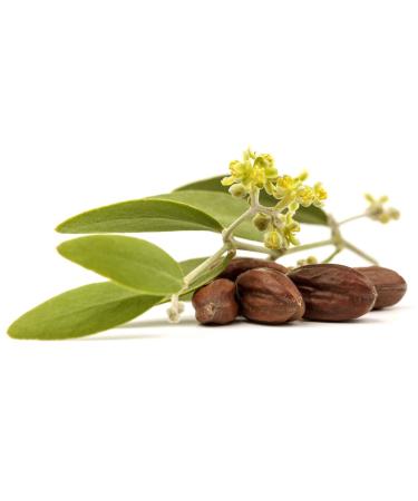 Molivera Organics Premium Jojoba Oil 4 Fl Oz - 100% Pure Organic Cold Pressed Unrefined for Hair, Skin, Face & Nails - UV Resistant Bottle - Satisfaction Guarantee - Buy Online on GoSupps.com