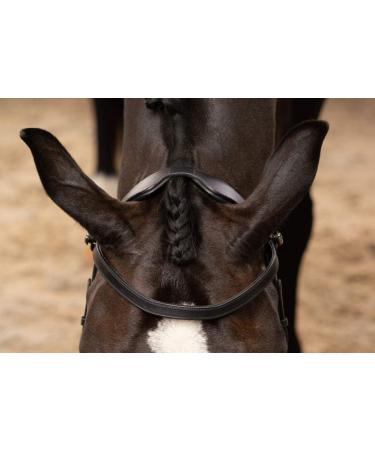 Buy PresTeq FaySport Snaffle Bridle Black Cob - Premium Equestrian Gear for International Shipping - Buy Online on GoSupps.com
