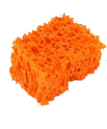 BstXqty Wound Makeup Stipple Sponge Blood Scar Stubble Effect for Halloween Party Stipple Sponge Professional Special for Halloween Beard Freckle Stubble(L) - Buy Online on GoSupps.com