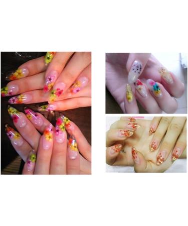 XICHEN 120 PCS 3D Nail Stickers - Five Flower Dried Flower Applique for Nail Art - Buy Online on GoSupps.com