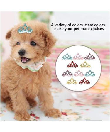 10Pcs Crown Shape Pet Hairpin 5 Colors Pet Hair Clip Grooming Hair Accessories for Small Medium Dogs Multicolour (47) - Buy Online on GoSupps.com