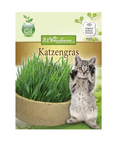 Cat grass seeds grass for cats and tomcats