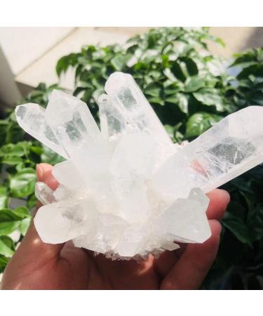 350g-900g Natural Clear Quartz Stone White Crystal Cluster 1pc NaturalCrystal Crystal Cluster (Color : 1pc 570g-630g) - Buy Online on GoSupps.com