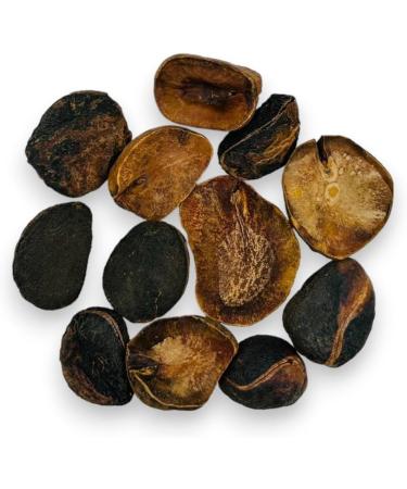 Whole Dried Kola Nuts 85g - 1 95Kg Premium Quality Cola Acuminata (85 Grams) - Buy Online on GoSupps.com