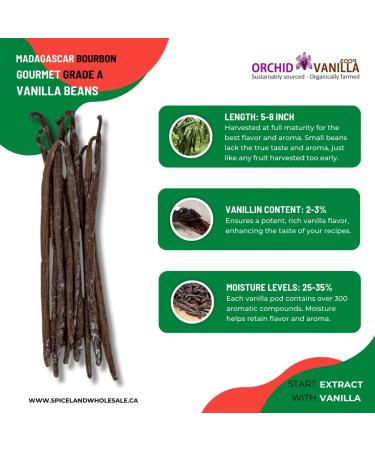 Madagascar Vanilla Beans Bourbon Gourmet Grade-A For Extract And Baking By Weight (1/2 lb (Pack of 1)) - Buy Online on GoSupps.com