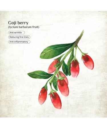 PHYTOAID - Phytoaid plus goji berry face cream Antioxidant Improving fine lines For all Skin Night cream Goji berry skincare Korean beauty 50g DIANA DRUMMOND - Buy Online on GoSupps.com