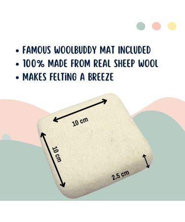 Woolbuddy Needle Felting Kit - Beginner Craft Kit with Tools, 40 Colored Wool, Instruction - for Adults and Kids - Buy Online on GoSupps.com