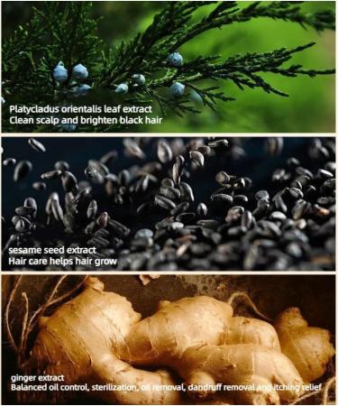 COALHO Antihair Loss Shampoo Antihair Loss and Hair Growth Shampoo Hair Thickening Shampoo for Men & Women Promote Hair Growth Anti hair Loss Shampoo 3pcs - Buy Online on GoSupps.com