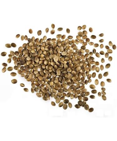 Organic Hemp Seeds 500g by Manor Springs Organic - Buy Online on GoSupps.com
