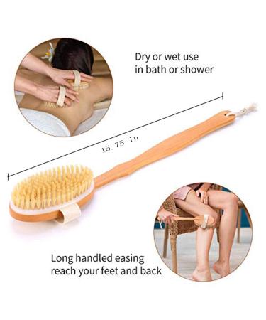 Long Handle Shower Exfoliator Brush - Natural Bristle Body Brush for Cellulite & Dry Skin - Detachable Handle - Buy Online on GoSupps.com